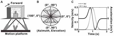 Response Properties of Interneurons and Pyramidal Neurons in Macaque MSTd and VPS Areas During Self-Motion